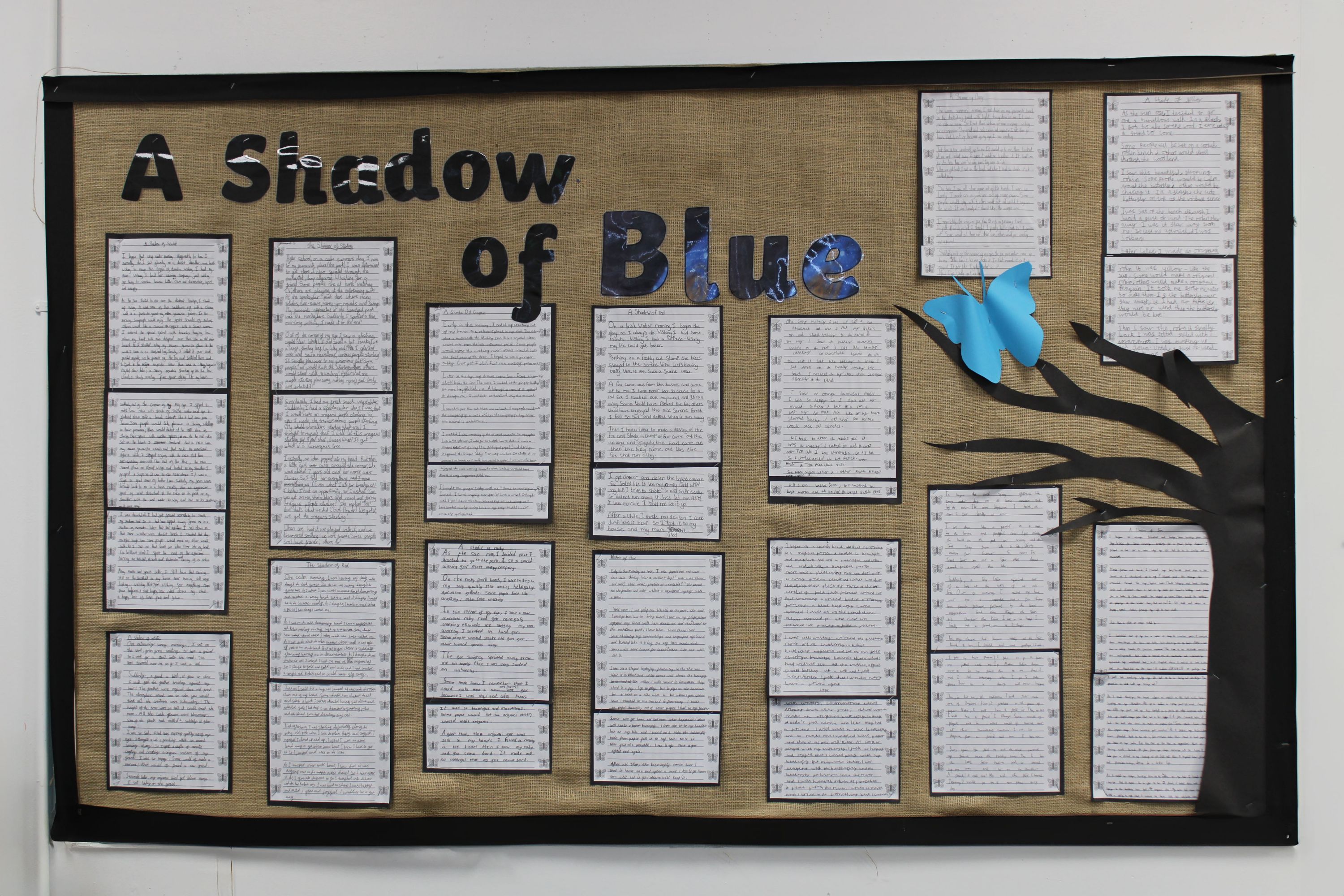 A display of written work on a wall with the title: A Shadow of Blue